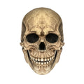 Movable-Jaw Full-Head Skull Mask