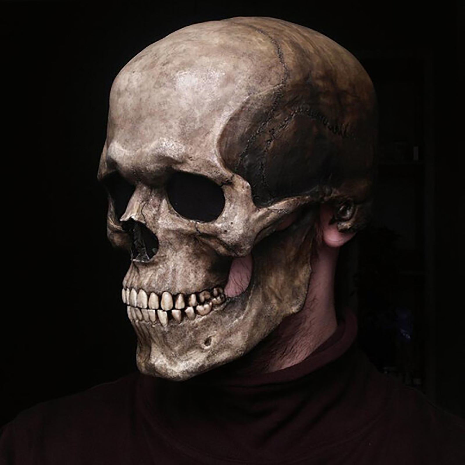 Full-head latex skull mask with a movable jaw for a Halloween skeleton costume